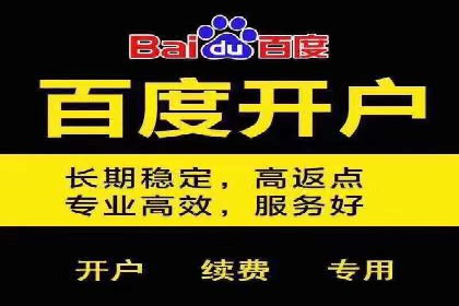 某电商平台的SEM推广实践与效果展示